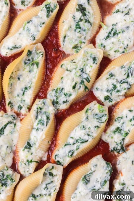 Spinach and Ricotta Stuffed Shells