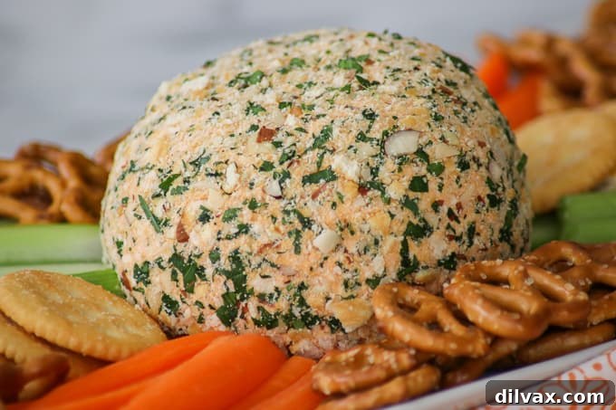 A Buffalo Chicken Cheese Ball with carrots and pretzels in foreground.
