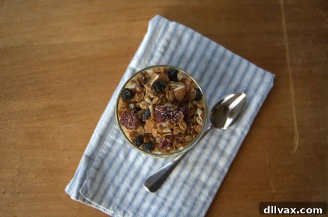 Delicious homemade granola with berries and nuts in a serving bowl