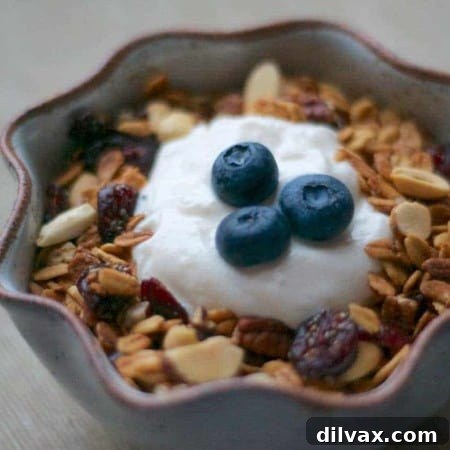 Bowl of berry nut granola with cranberries and chia seeds.