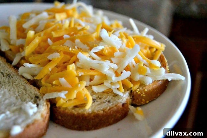 Delicious Wisconsin cheddar and gouda cheeses make the perfect grilled cheese!