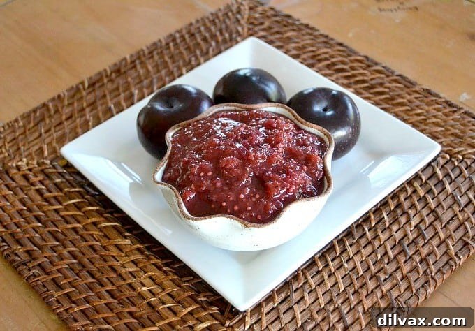 Spiced Plum Chutney 4 Plum Chutney spooned over a savory dish, highlighting its versatility as a condiment