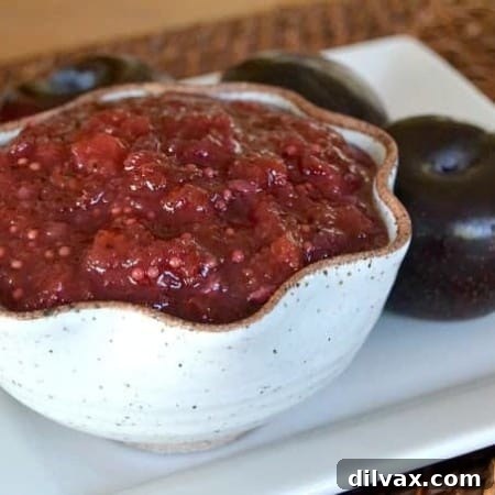 Spiced Plum Chutney 5 A deliciously spicy fruit condiment perfect for roast chicken, pork or over sandwiches!