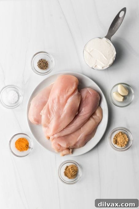 The Ultimate Tandoori Chicken 4 Ingredients for Tandoori Chicken marinade