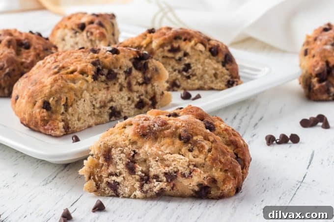 Banana Chocolate Scone Delight 2 Delicious, golden-brown Banana Chocolate Scones with melty chocolate chips, artfully arranged on a cooling rack, ready to be served.