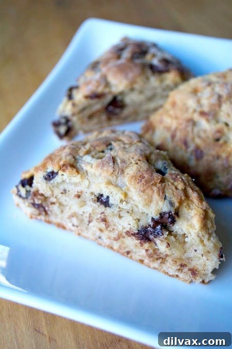 Banana Chocolate Scone Delight 11 A final inviting image of warm Banana Chocolate Scones, arranged beautifully and ready to be served for a cozy breakfast or brunch.