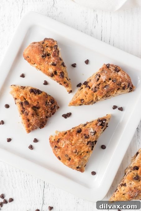 Banana Chocolate Scone Delight 6 A delightful plate of freshly baked Chocolate Chip Banana Scones, some with a dusting of powdered sugar, enticingly ready to be enjoyed with a cup of coffee.