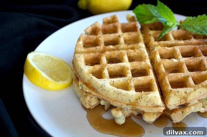 Golden-brown Dairy-Free Lemon Poppy Seed Waffles stacked on a plate, drizzled with syrup and garnished with fresh lemon slices and a sprig of mint, ready for a delicious breakfast or brunch.