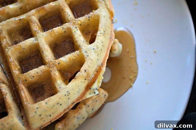 Dairy-Free Lemon Poppy Seed Waffles served with fresh blueberries and a light dusting of powdered sugar, making for an appetizing and healthy breakfast or brunch option that is dairy-free and full of flavor.