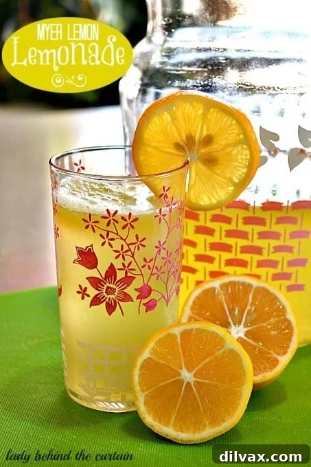 Meyer Lemon Lemonade, a pale yellow drink garnished with thin slices of Meyer lemons.