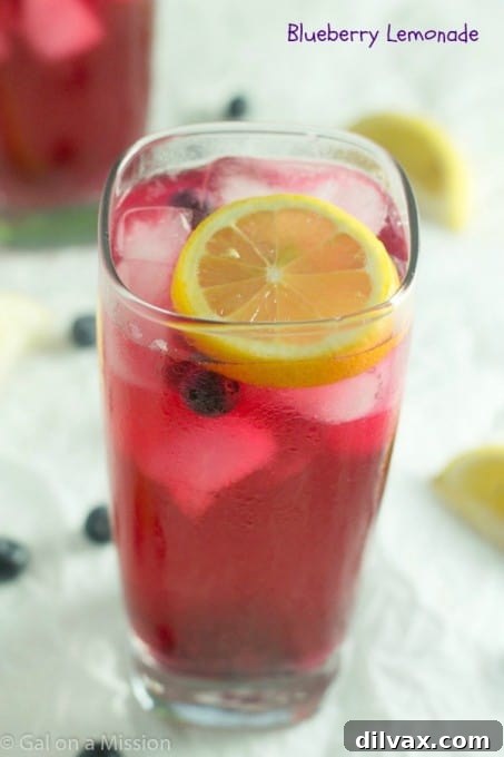 Refreshing Blueberry Lemonade, a beautiful purple drink with fresh blueberries and lemon slices.