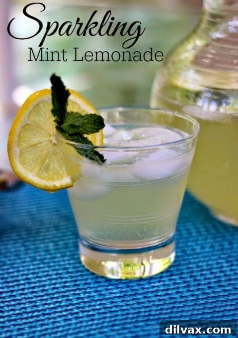 Lemonade Libations: 40+ Ways to Refresh This Summer 20 Invigorating Sparkling Mint Lemonade, perfect for cooling down on hot days.