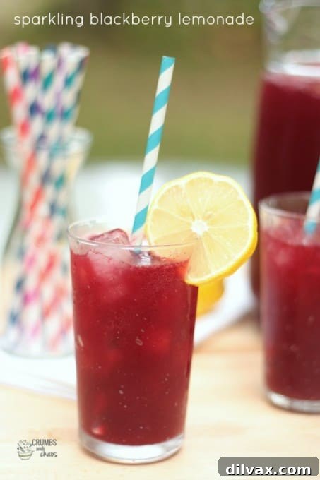 Sparkling Blackberry Lemonade, a dark purple fizzy drink with blackberries and lemon slices.