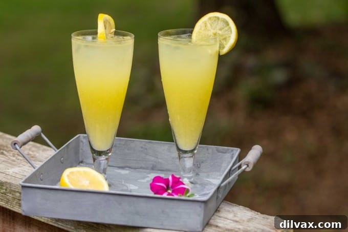 Lemonade Libations: 40+ Ways to Refresh This Summer 35 Tropical Homemade Mango Lemonade, a sweet and tangy taste of paradise.