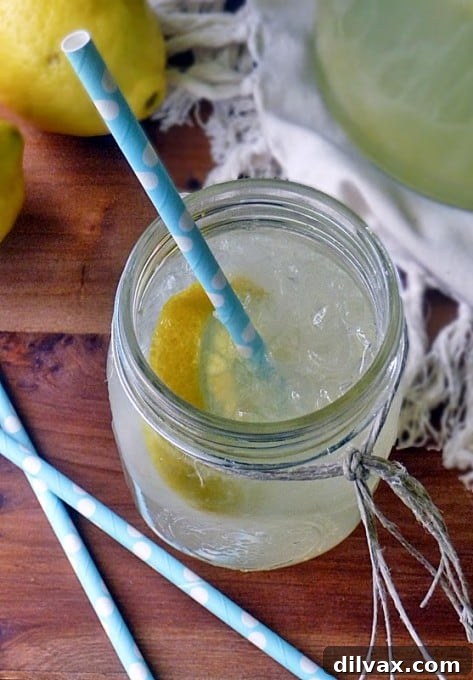 Lemonade Libations: 40+ Ways to Refresh This Summer 5 Learn how to make the best Fresh Squeezed Lemonade for a timeless, homemade beverage.