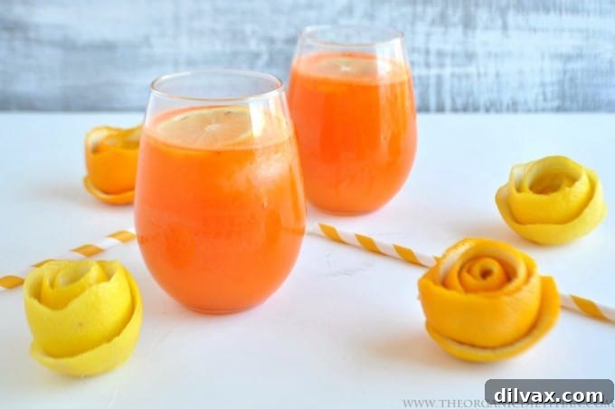 Lemonade Libations: 40+ Ways to Refresh This Summer 6 Healthy Carrot Orange Lemonade with no added sugar, a vibrant and nutritious drink.