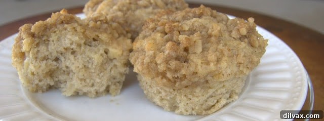 Wholesome Apple Oatmeal Muffins 4 A batch of freshly baked Apple Oatmeal Muffins with golden crumb topping on a cooling rack
