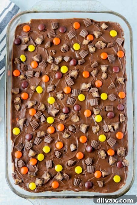 Reese's Peanut Butter Krispie Crunch 7 Richly chocolate-frosted Peanut Butter Rice Krispies Treats, ready to be devoured.