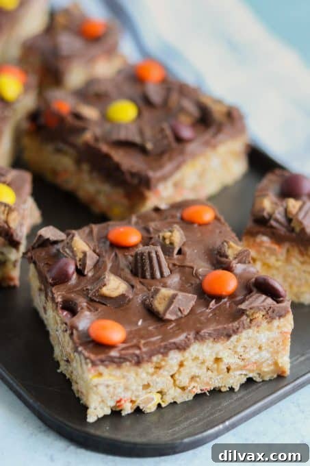 Reese's Peanut Butter Krispie Crunch 8 Close-up of a single serving of chocolate frosted peanut butter Rice Krispies Treat, showing its rich texture.