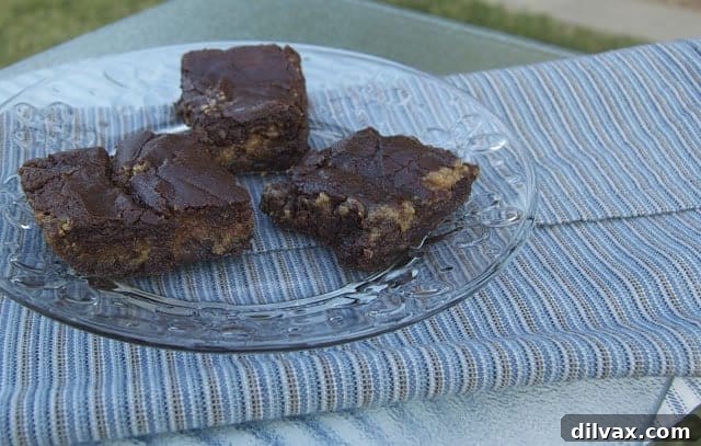 Marshmallow Fluff and Peanut Butter Swirl Brownies