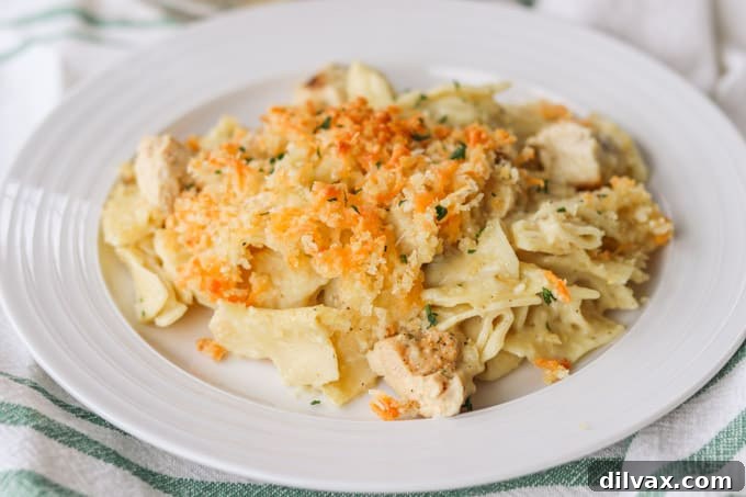 A plate of chicken, noodles and sauce, ready to be enjoyed.