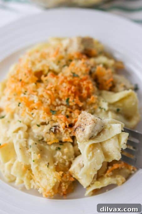 Comforting Chicken Noodle Bake 3 Close-up of golden brown, cheesy bread crumb topping on a freshly baked Chicken Noodle Casserole, glistening with melted cheese.