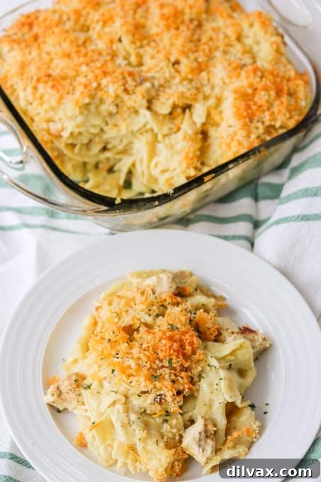Comforting Chicken Noodle Bake 6 A close-up shot of a perfect serving of Chicken Noodle Casserole on a white plate, highlighting the creamy noodles and golden topping.