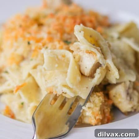 Comforting Chicken Noodle Bake 7 A forkful of creamy noodles and chicken, showcasing the delightful texture of the casserole.