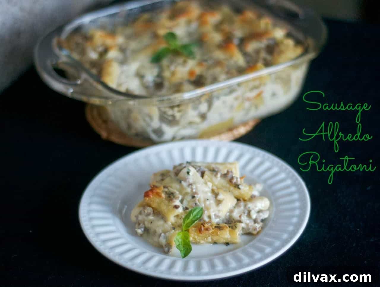 Creamy Sausage Alfredo Rigatoni 10 Sausage Alfredo Rigatoni plated with fresh basil garnish