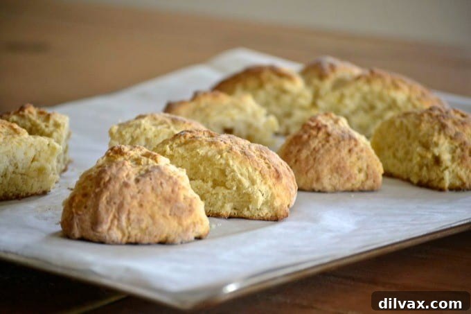 Homemade Blood Orange Marmalade Scones, perfect for morning coffee or afternoon tea