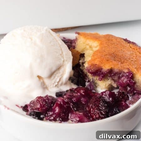 Berry Cobbler