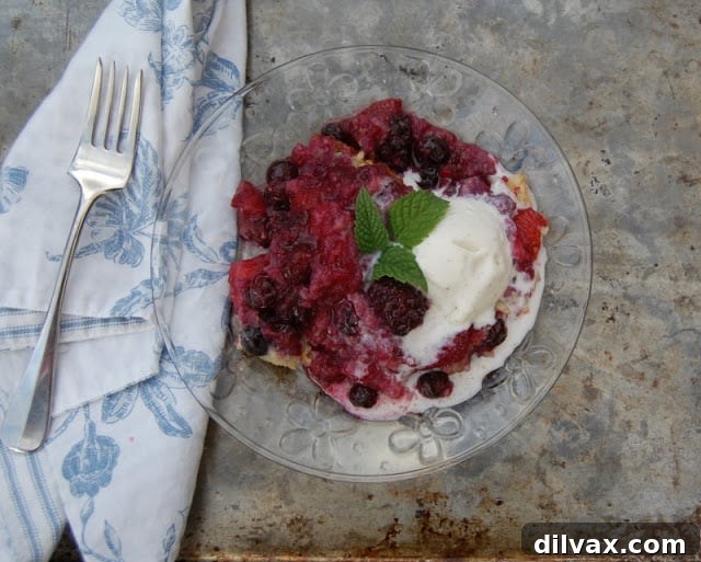 Rustic Berry Bake 12 A final shot of the delicious Berry Cobbler, inviting to be shared.
