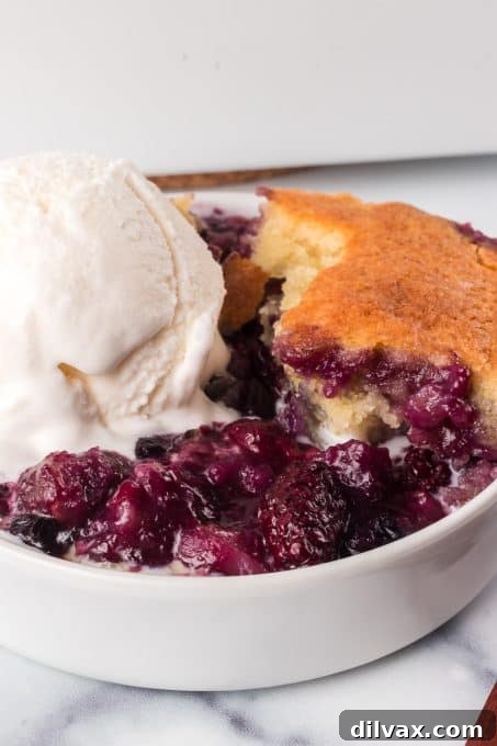 Rustic Berry Bake 3 An easy fruit cobbler made of three berries, showcasing the vibrant fruit filling and golden topping.