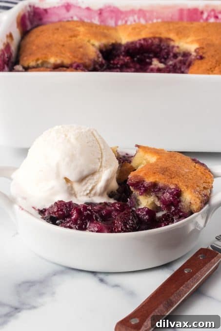 Rustic Berry Bake 8 A beautiful, golden-brown cobbler made with a variety of fresh berries, hot and bubbling.