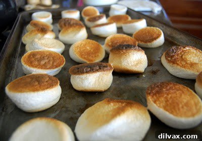 Perfectly toasted marshmallows on a cookie sheet