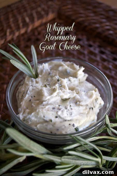 Lightly sweetened with honey, this Whipped Rosemary Goat Cheese is great on crackers, sandwiches or in salads!