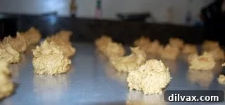 Molasses cookie dough balls arranged on a baking sheet
