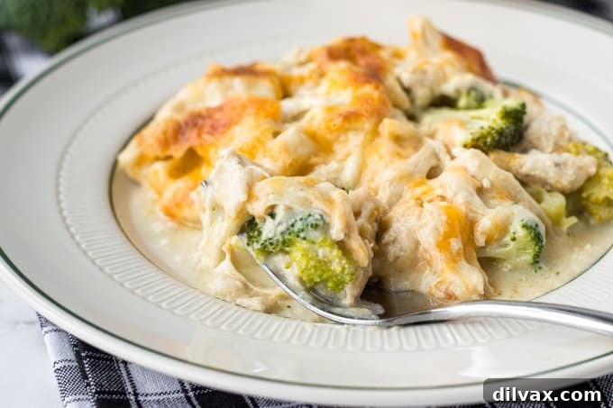 Hearty Chicken Broccoli Casserole 2 A plateful of creamy broccoli and chicken casserole, ready to be enjoyed.