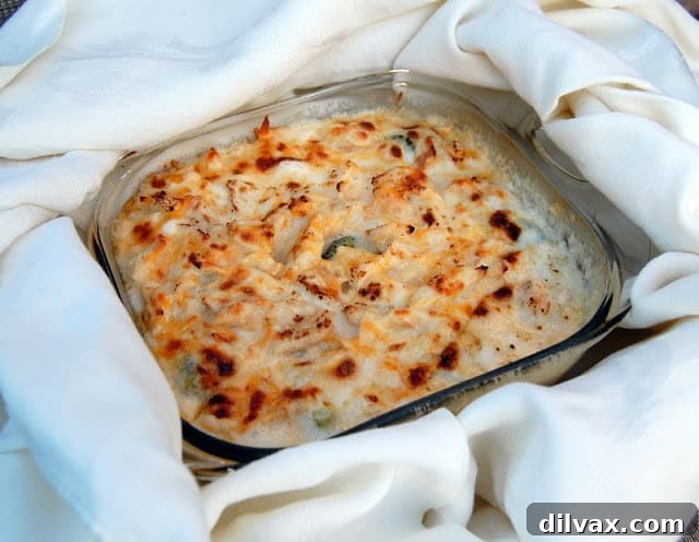 Hearty Chicken Broccoli Casserole 12 The finished Chicken Divan, garnished and ready to be served, showcasing its comforting appeal.