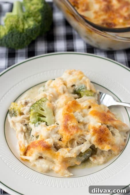 Hearty Chicken Broccoli Casserole 3 A close-up of the delicious Chicken Divan casserole in a baking dish.