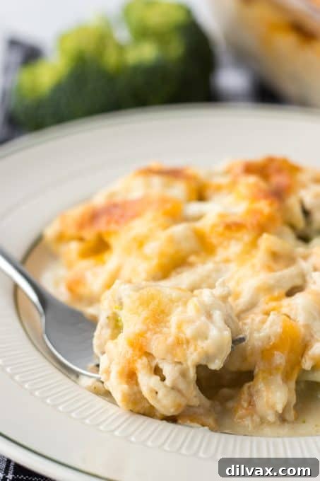 Hearty Chicken Broccoli Casserole 8 A fork taking a scoop of the cheesy Chicken Divan casserole, showing its creamy texture.