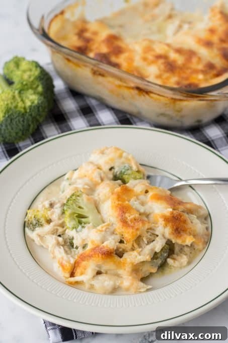 Hearty Chicken Broccoli Casserole 9 A close-up of Chicken Divan showing the combination of chicken, broccoli, and creamy white wine sauce.