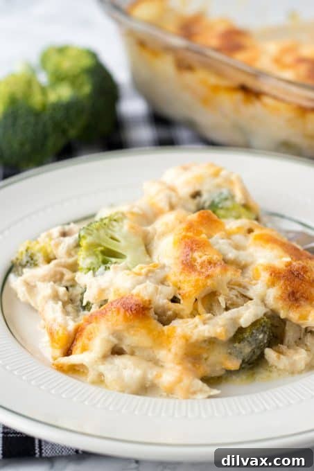 Hearty Chicken Broccoli Casserole 10 A large serving of Chicken Divan casserole with golden-brown cheese topping and visible broccoli florets.