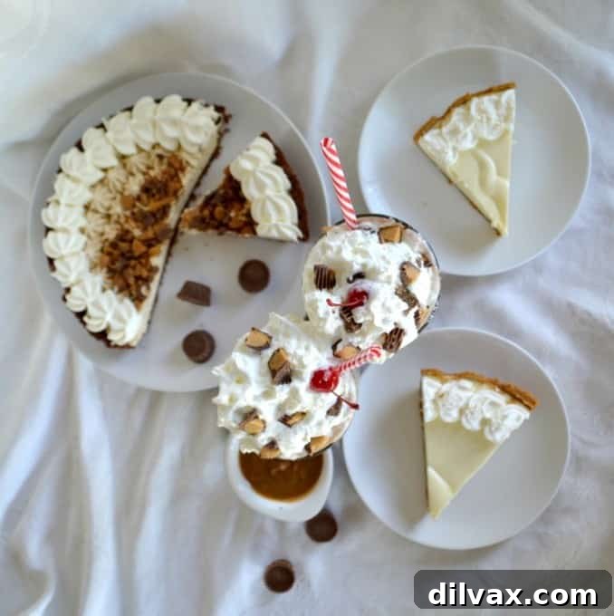 A refreshing EDWARDS® REESE’S PEANUT BUTTER CUP® Crème Pie Shake, garnished with chocolate and peanut butter drizzle.