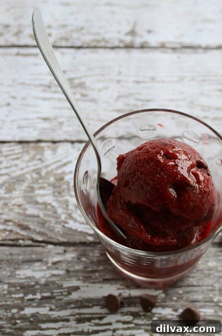 Crimson Cherry Frost Bites 17 An Edible Mosaic 3-Minute Easy Cherry-Chocolate Sorbet, a quick and refreshing frozen dessert