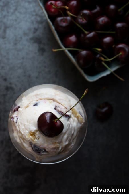 Crimson Cherry Frost Bites 18 Taste, Love & Nourish Roasted Cherry Almond Cookie Dough Frozen Yogurt, a unique and flavorful dessert
