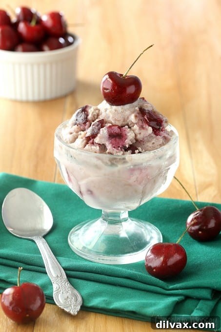 Crimson Cherry Frost Bites 8 Chocolate Moosey Cherry Almond Coconut Ice Cream, a delightful dairy-free frozen treat