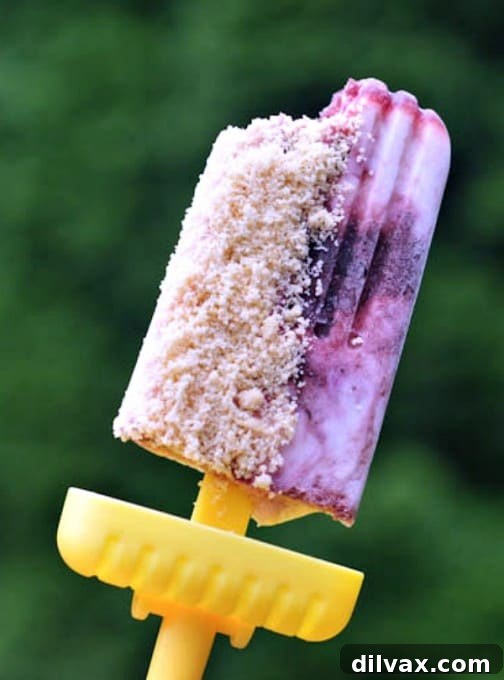Crimson Cherry Frost Bites 25 spabettie Cherry Cheesecake Popsicles with Shortbread Crumb, a gourmet frozen dessert on a stick