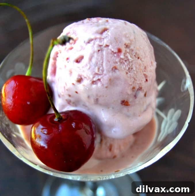 Crimson Cherry Frost Bites 14 The View from Great Island Easy Cherry Frozen Yogurt, a simple and refreshing homemade treat