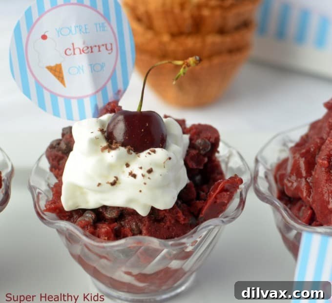Crimson Cherry Frost Bites 5 Super Healthy Kids Cherry Chocolate Chip Ice Cream, a delicious and wholesome treat